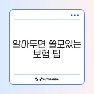 제주 렌터카 보험 어디서 가입할지 완벽 정리