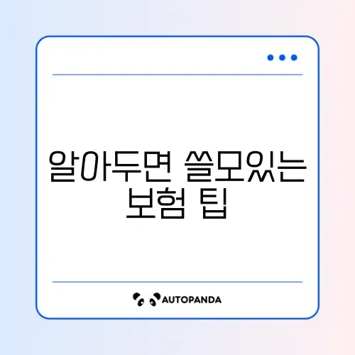 제주 렌터카 보험 어디서 가입할지 완벽 정리 썸네일