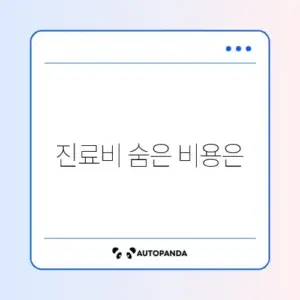동물병원 진료비 체크리스트 완벽 정리 가이드