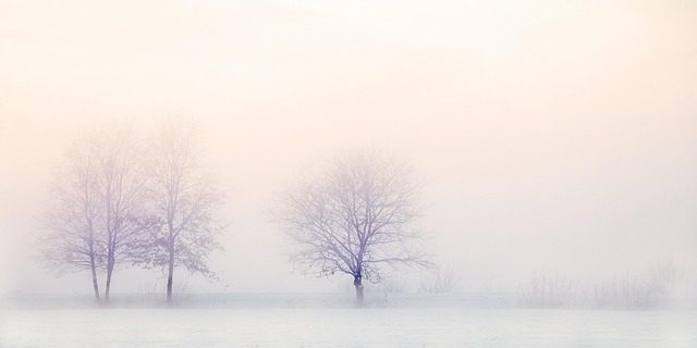 금리 동결 시기 적금 풍차 돌리기 월별 입금 전략과 수익률 완벽 정리 관련 이미지 2