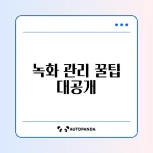 줌(Zoom) 회의 녹화 파일 저장 위치 변경과 클라우드 업로드 완벽 가이드
