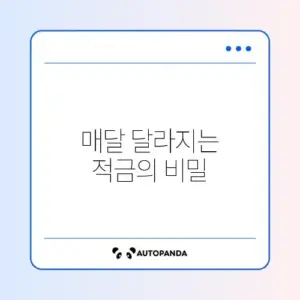 금리 동결 시기 적금 풍차 돌리기 월별 입금 전략과 수익률 완벽 정리