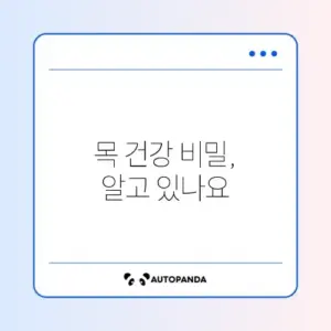 거북목 교정용 경추 베개 선택법과 목뼈 C자 커브 유지 가이드 알아보기