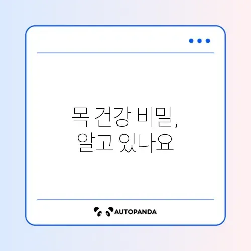 거북목 교정용 경추 베개 선택법과 목뼈 C자 커브 유지 가이드 알아보기 썸네일