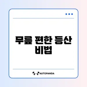 등산 시 무릎 통증 예방하는 올바른 스틱 사용법과 보행 자세 완벽 가이드