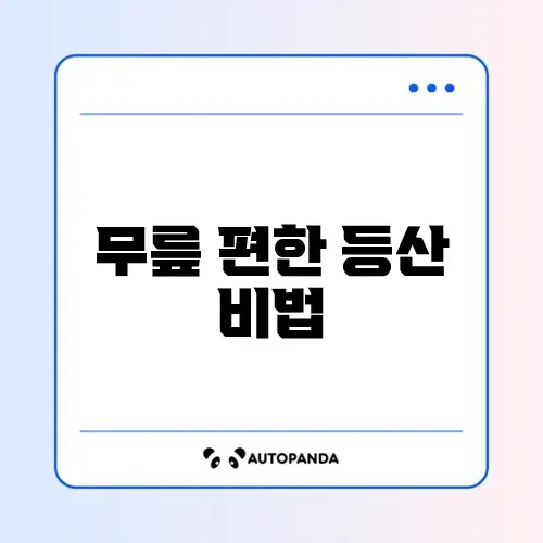 등산 시 무릎 통증 예방하는 올바른 스틱 사용법과 보행 자세 완벽 가이드 썸네일