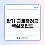 근로장려금 반기 신청 및 지급일 완벽 정리 알아보기