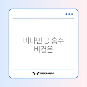 비타민 D 권장 섭취량과 영양제 흡수율 높이는 식단 구성 완벽 정리