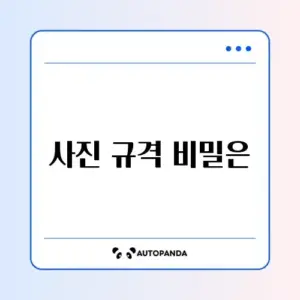 여권 재발급 온라인 신청 사진 규격 완벽 정리 방법
