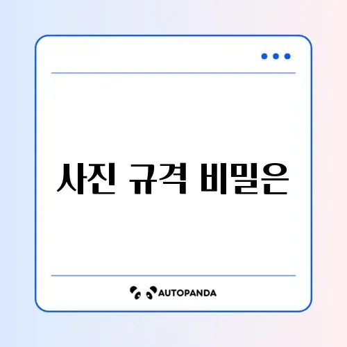 여권 재발급 온라인 신청 사진 규격 완벽 정리 방법