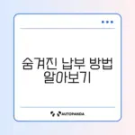국민연금 미납 보험료 분할납부 완벽 가이드 알아보기