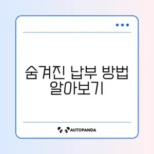 국민연금 미납 보험료 분할납부 완벽 가이드 알아보기