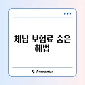 건강보험료 체납 분할납부 신청 완벽 가이드 알아보기